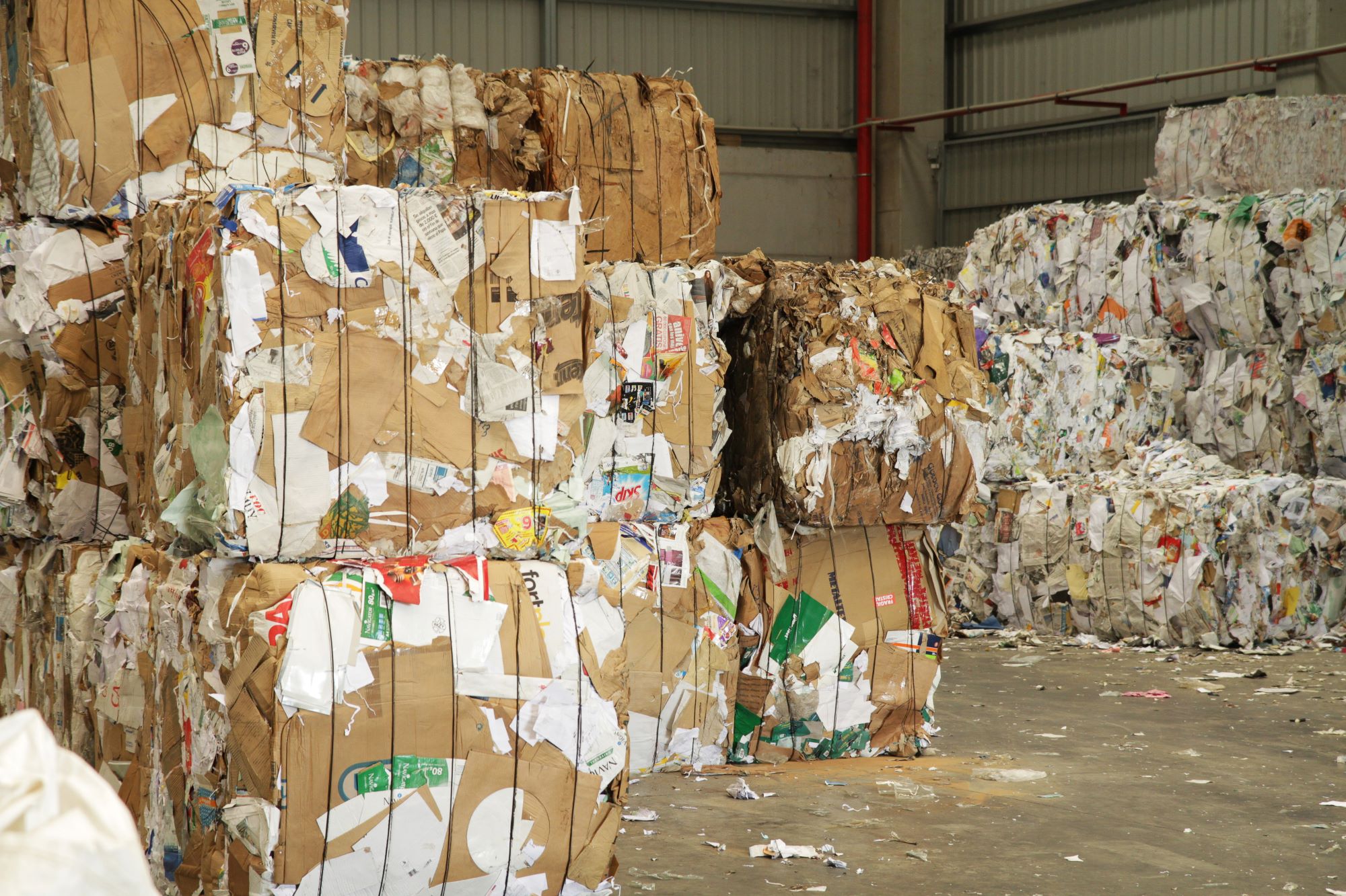  Tri des déchets : l’étape fondamentale du recyclage 